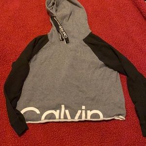 It is a cropped Calvin Klein sweater